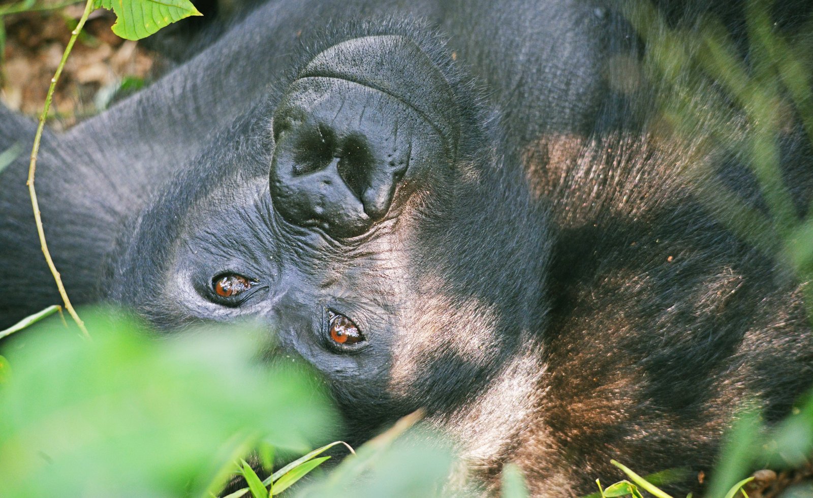 fOTOSOURCE 39 scaled