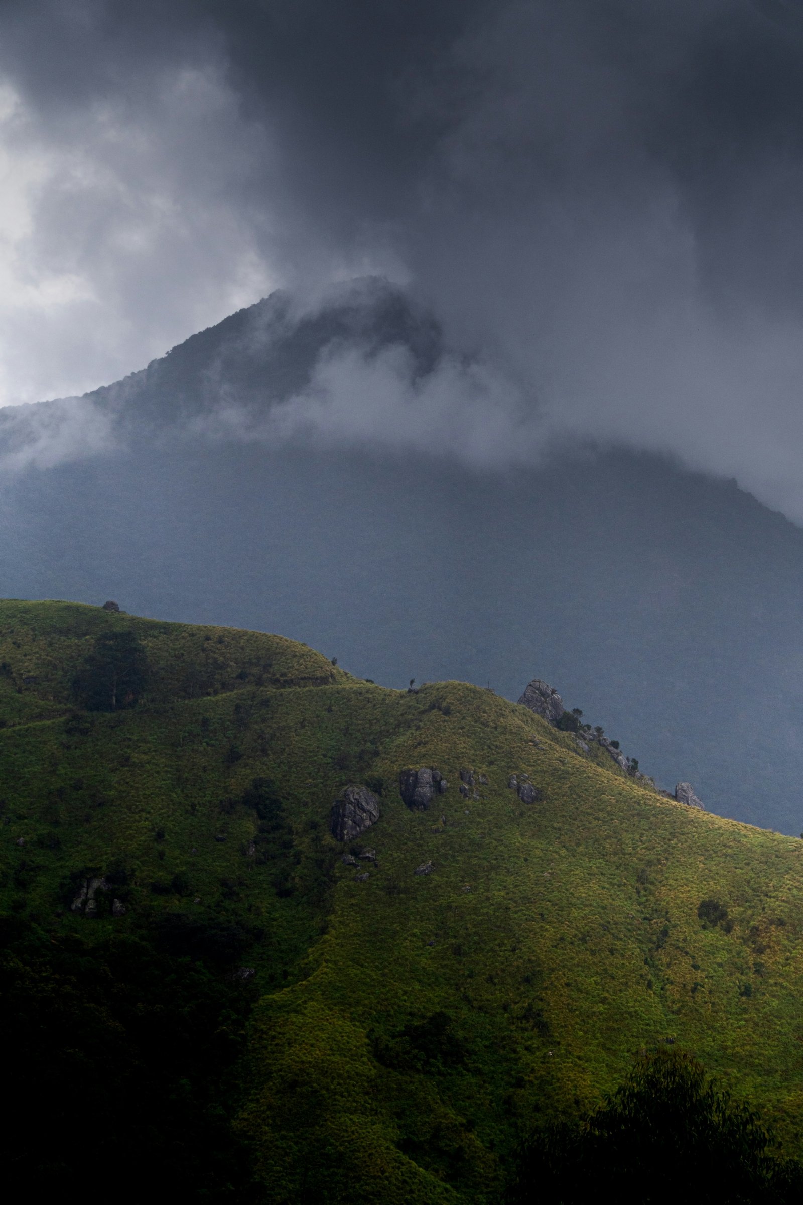 pranav adarsh BPWohMJwxxs unsplash scaled