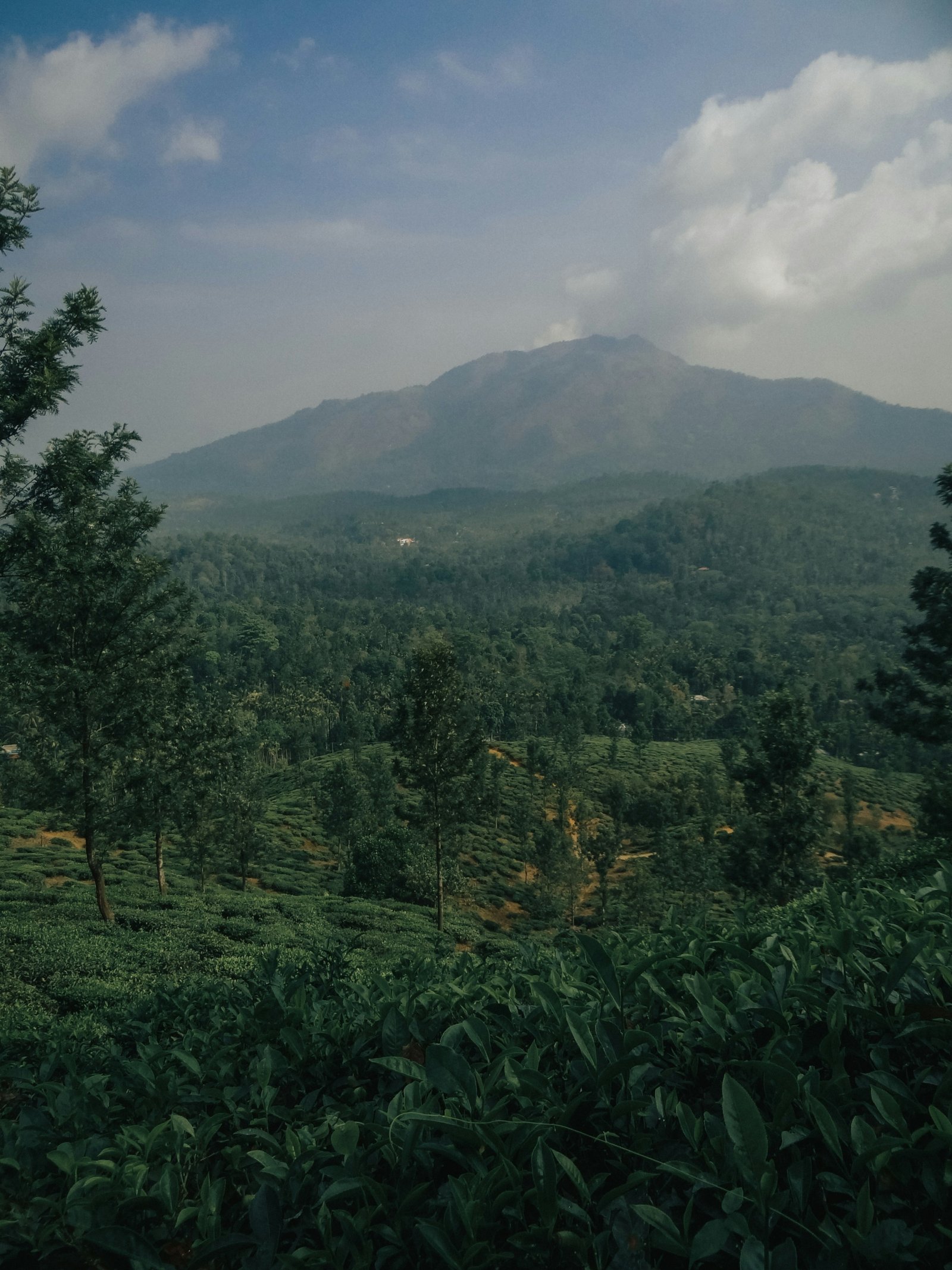 sharad bhat gmuP1N203B4 unsplash scaled