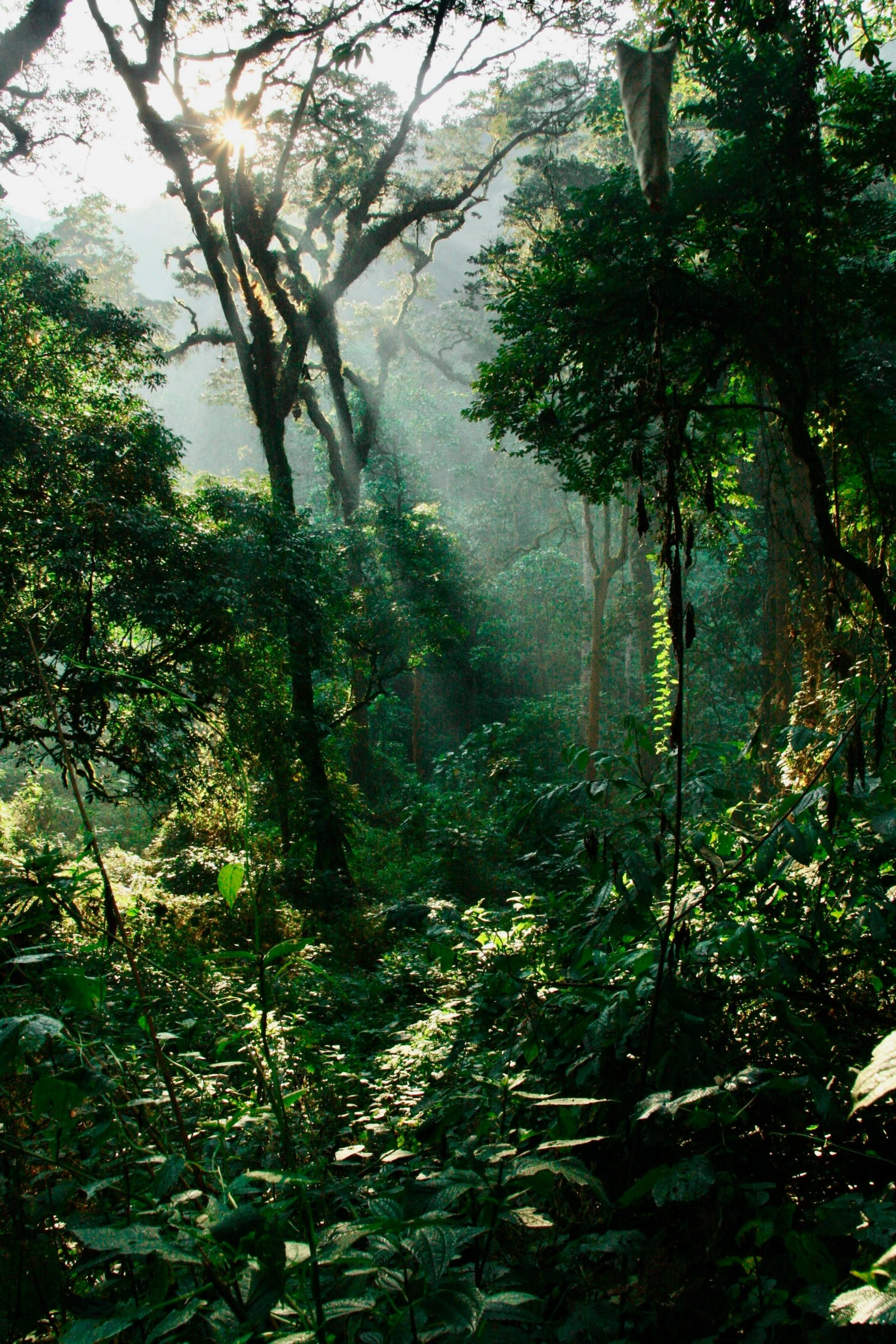 william pietermans vQNEm_BTNi4 unsplash scaled