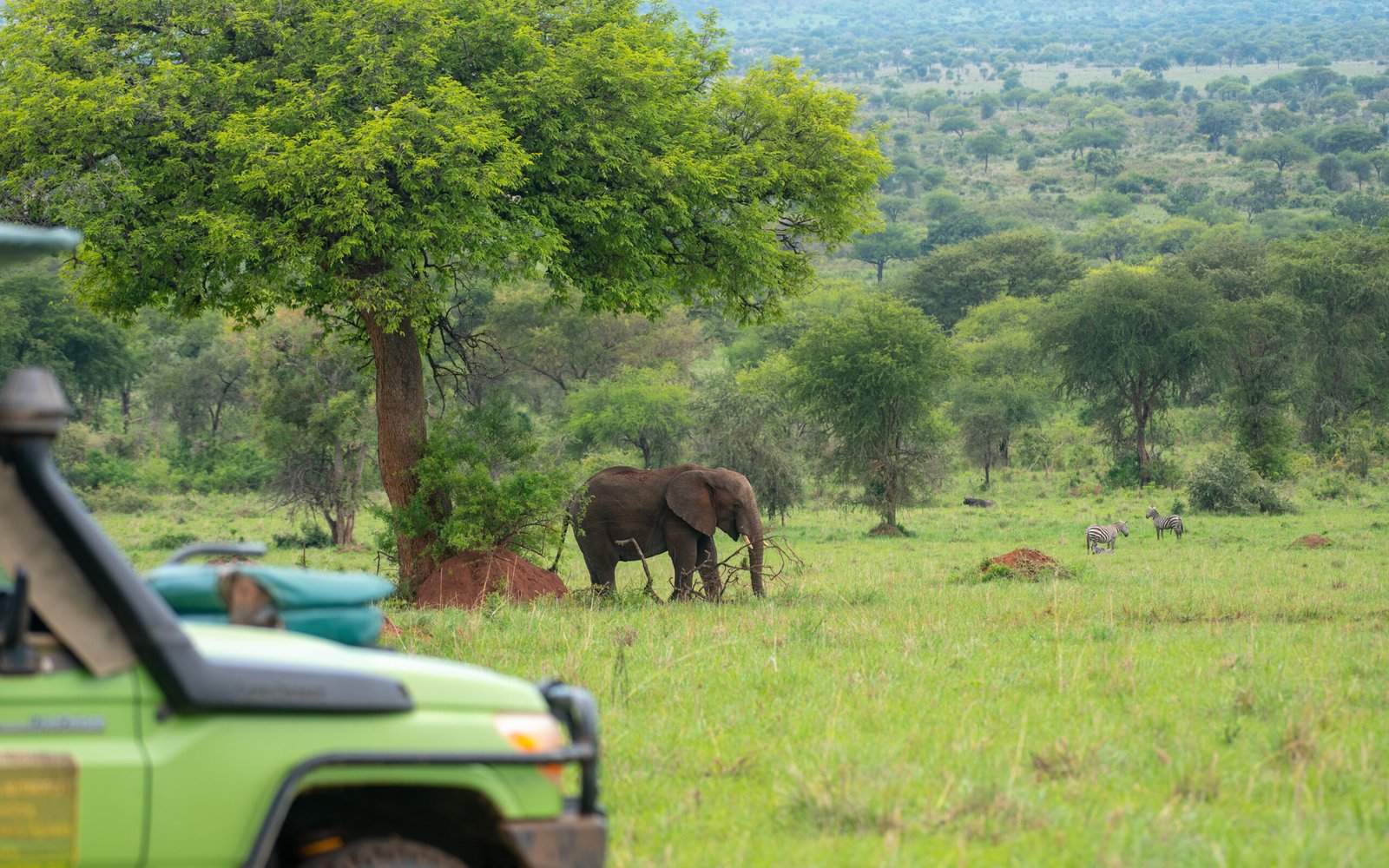 TTP23Kidepo 54 scaled