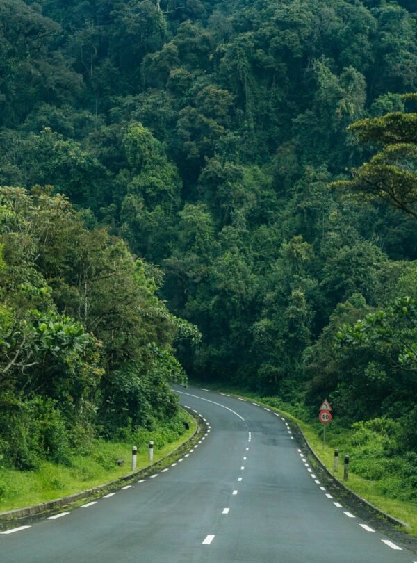 Nyungwe park, Nyungwe, Rwanda